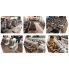 Spiral Dough Mixer Altezoro ESP-2/50