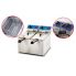 Electric deep fryer EWT INOX EF062