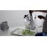 Vegetable cutter Airhot VC-300